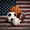 Brown 07, variant on Erosebridal Football Sport Boys Girls Twin Quilt Set, Rustic Wooden Plank Twin Coverlet Set, 2pcs