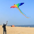 thumbnail image 1 of Cometa 3D de Phoenix, cometas de animales realistas, pájaro volador fácil, juguetes de actividades al aire libre para , adultos, diversión con co B Macarena cometas de aves, 1 of 7