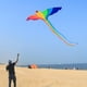 thumbnail image 5 of Cometa de ave fénix vívida, animal fácil de volar, cometa grande de cola larga de una sola línea para B, 5 of 7