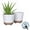 White, variant on Lark & Vine Wallula Resin Planter, Durable and Light Weight, 10" x 10" x 8.9", Aqua, Set of 2
