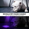 thumbnail image 7 of GearLight UV Black Light Flashlight - 68 LED Pet Urine & Stain Detector, ID Checker, 7 of 7