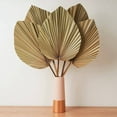 thumbnail image 3 of Decoración de Habitación con Hojas de Palma Secas, 10 Piezas, 18 Pulgadas de Alto X 10 Pulgadas de , Decoración Grande de Hoja de Palma Natural para Un Hermoso Aspecto Bohemio, 3 of 5