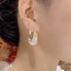 thumbnail image 3 of Pendientes de circón de malla de lujo para mujer, diseño único, elegante, exquisito, ligero, joyería femenina, fiesta, regalo Premium, venta al por mayor, nueva tendencia de moda, 3 of 4