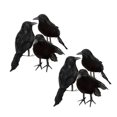thumbnail image 2 of Set Of 6 Realistic Black Feathered Crows, High-Quality Foam And Feathers, Easy To Position For Indoors And Outdoors, Enhance Your Halloween Decor, 2 of 5