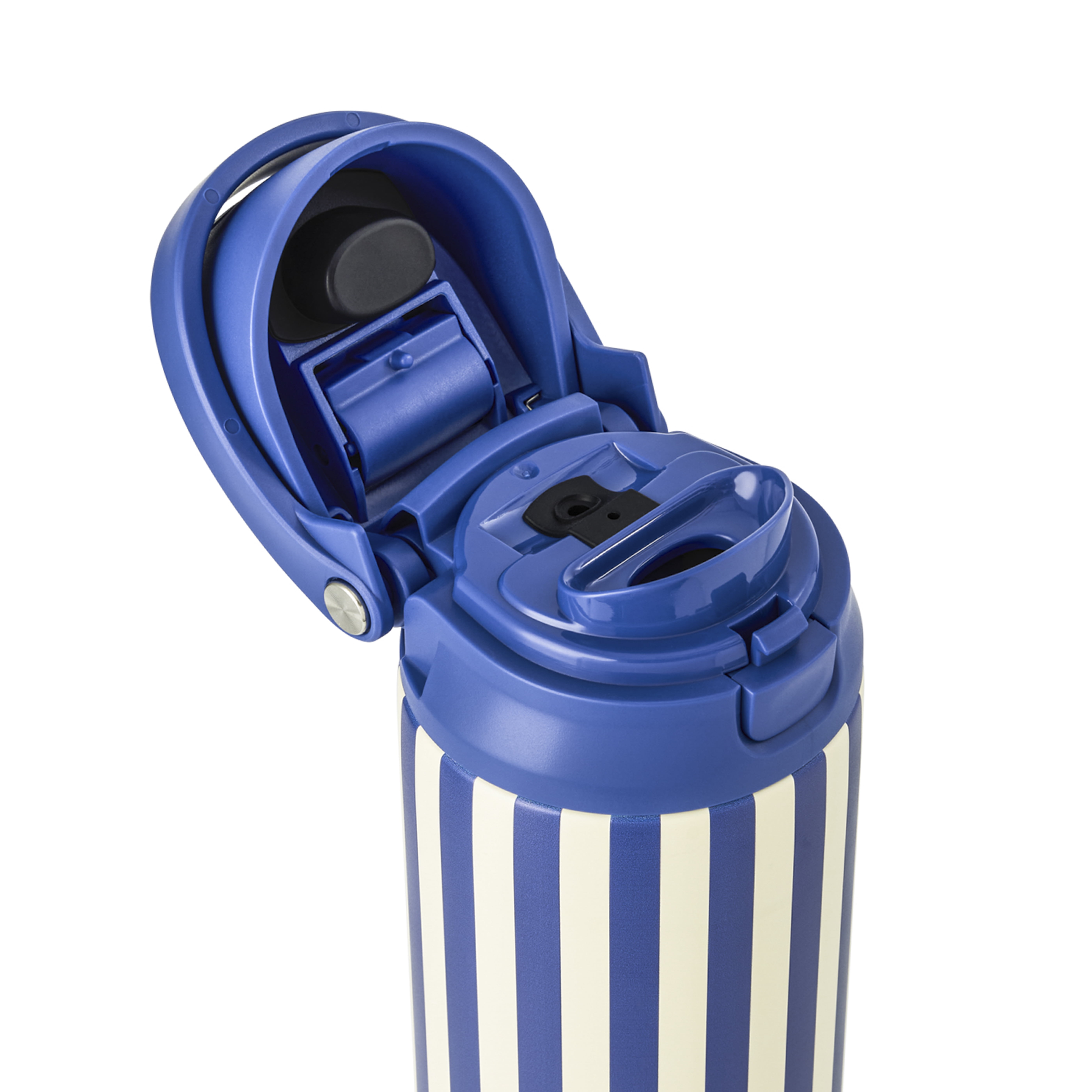 TAL 24oz Stainless Steel 2-in-1 Straw and Chug Water Bottle with Push Lid, Navy Stripes