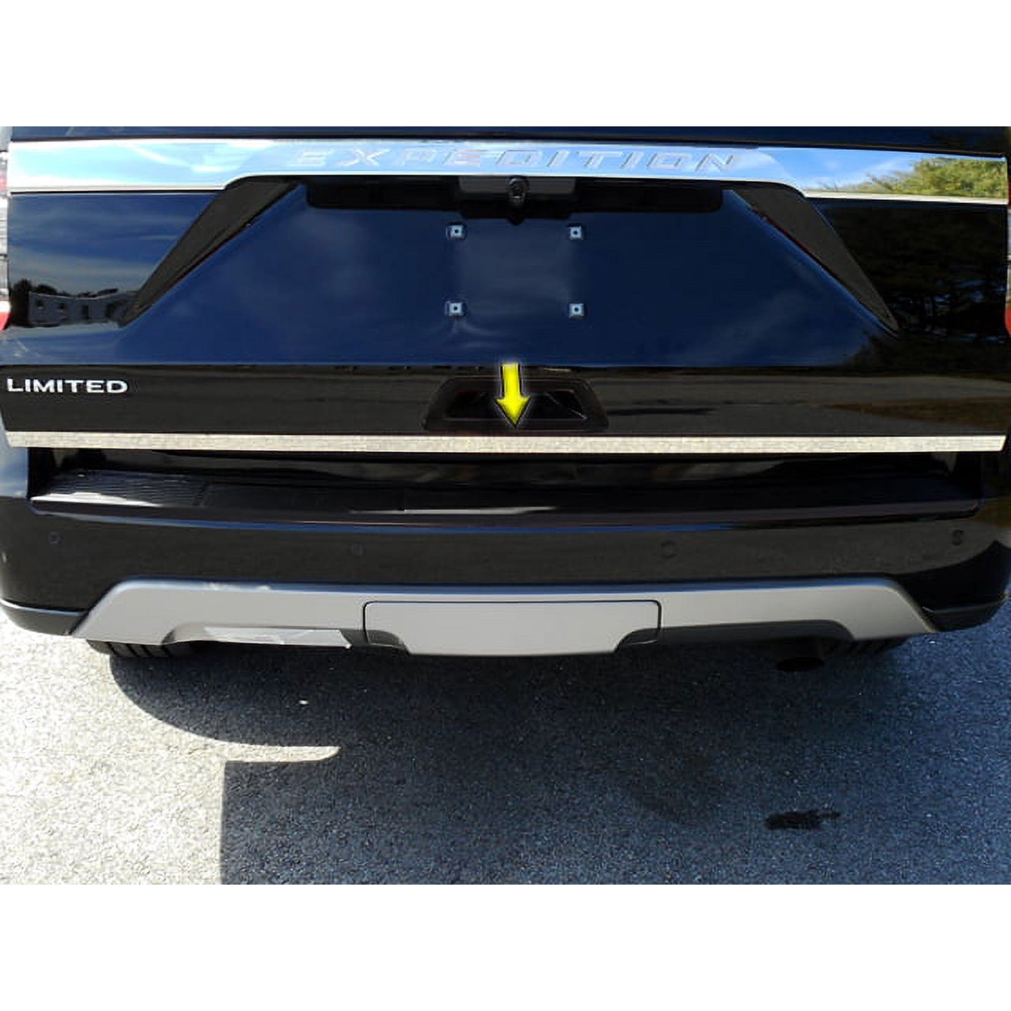 Stainless Steel Rear Deck Accent 1Pc Fits 2018-2020 Ford Expedition RD58383 QAA