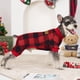 thumbnail image 4 of Pijama XPUDAC para perros pequeños y gatos, paquete de 4 unidades, 4 of 5