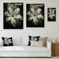 thumbnail image 4 of Designart "Exotic Plumeria Bloom in Black and White II" Floral Print on Natural Pine Wood, 4 of 5