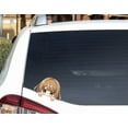 thumbnail image 3 of Peeking Anime Girl with Brown Hair Car Decal Stickers Waterproof, Kawaii Cute Stickers for Car, Truck, SUV, Motocycle, Bike, Decals with Japanese Anime Girl (Brown), 3 of 4