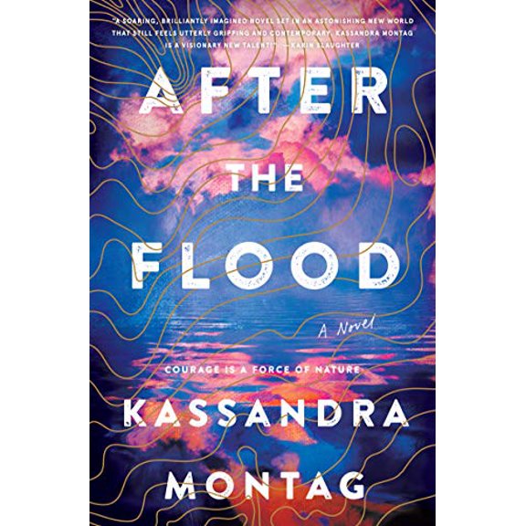 Pre-Owned After the Flood (Hardcover) 0062889362 9780062889362