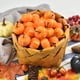 thumbnail image 5 of 10 Uds. De calabazas artificiales, decoración de calabaza de espuma falsa, calabazas de cosecha realistas para otoño, Halloween, Acción de Gracias, 5 of 5
