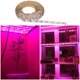 thumbnail image 3 of Moyic Tira de luces LED de espectro completo de 5V 60LED/M 2835 luces de cultivo USB lámparas de plantas hidropónicas 0,5 M/1M/2M/300CM Iluminación y accesorios Moyic HA021902-00, 3 of 5