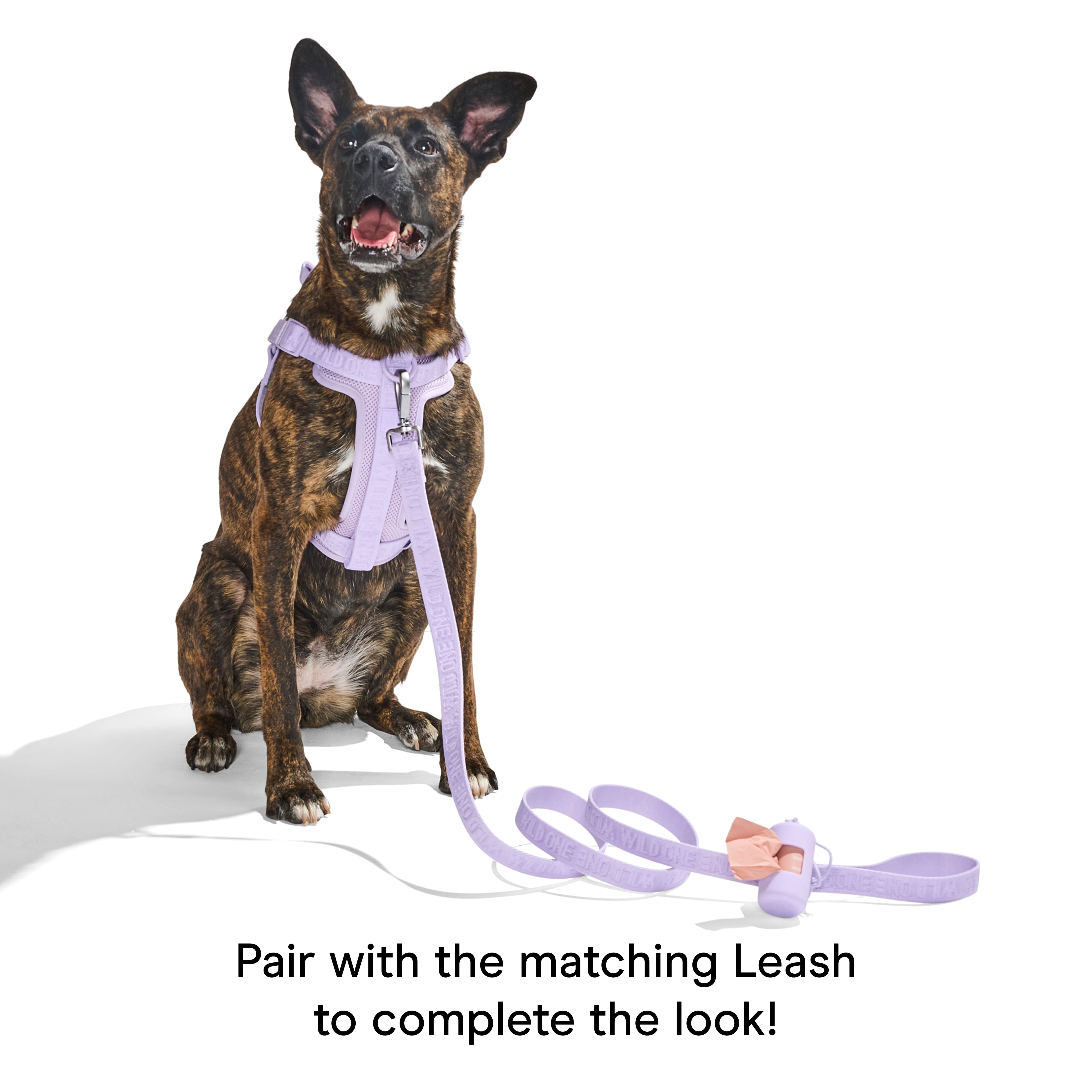 Wild One Adjustable Cushioned Step-In Dog Harness, Lilac, Large