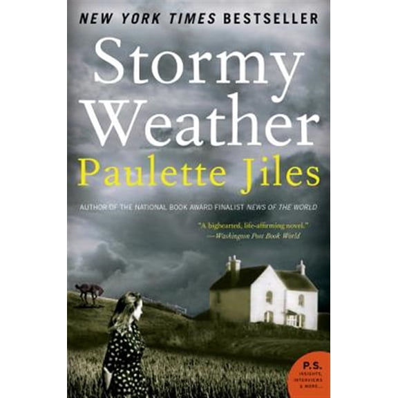 Pre-Owned Stormy Weather (Paperback) 0060537337 9780060537333