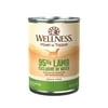 Wellness 95% Lamb Natural Wet Grain Free Canned Dog Food, 13.2-Ounce Can (Pack of 12)