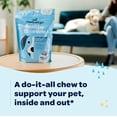 thumbnail image 5 of Ready Pet Go! Healthy Dog Chews 12-In-1 Complete Multivitamin for Dogs, Bacon, Liver & Cheese, 60 Pc, 5 of 9