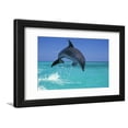 thumbnail image 1 of Bottlenosed Dolphin Framed Print Wall Art, 1 of 5