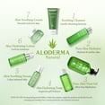 thumbnail image 5 of Aloderma Soothing Facial Serum with 85% Organic Aloe Vera - Calming Serum for Sensitive Skin with Natural Botanicals - Pure Aloe Vera Serum for Face - Lightweight Skin Calming & Nourishing Face Serum, 5 of 9