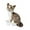 gray 25cm, variant on Kokiya Cat Toy Collectible Home Decoration Realistic Cat Doll for Teens yellow 30cm