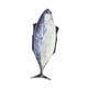 thumbnail image 4 of Disfraz de , Traje de Disfraz para Juegos de Rol, Carnaval, Festivales, Accesorios de Fiesta., 4 of 9