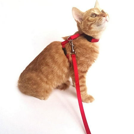 2 Ensembles De Laisses Pour Animaux De Compagnie Harnais Laisses De Chat Reglables Avec Sangle De Nylon Robuste Walmart Canada 2 Ensembles De Laisses Pour Animaux De Compagnie Harnais Laisses De Chat Reglables Avec Sangle De Nylon Robuste Walmart Canada