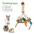 thumbnail image 3 of Hanging Teething Toys, Improve Digestion Hand Made Relieve Boredom Exercise Teeth Grinding Multipurpose  Hanging Chew Toys  For Chinchillas, 3 of 8