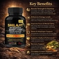thumbnail image 4 of Shilajit Capsules Herbal Supplement with Ashwagandha, Rhodiola, Panax Ginseng & Turmeric – Energy & Vitality Support – Pack 3, 4 of 8