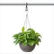 thumbnail image 2 of 4 Giratorios para Colgar Plantas, Macetas, Resistentes Metálicos de 360 Grados Interiores y Exteriores, 2 of 5