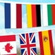 thumbnail image 2 of Bandera nacional de cuerda, 100 países, banderas del mundo, pequeñas banderas colgantes para decoración de bares., 2 of 6