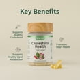 thumbnail image 5 of Snap Supplements Liver Health Support Supplement, Natural Liver Cleanse Detox and Repair, 60 Count (Liver + Cholesterol (60 x 2 Count)) - 3 pack, 5 of 10