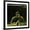 Black Frame, variant on Art.com John Coltrane - Prestige 7105 Art Print, 16" x 16"