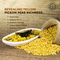 thumbnail image 3 of Pride Of India - Indian Split Yellow Pigeon Peas - Protein And Fiber Rich Toor Dal, 1.5 Pound Jar, 3 of 7
