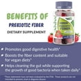thumbnail image 4 of Health Supplied Fiber Prebiotic Gummies Sugar Free, Keto Friendly | Gut Cleansing, Constipation Relief | Natural Berry Flavor, 4 of 7