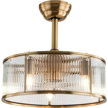 Miumaeov 5-Light Caged Ceiling Fan Light Industrial Farmhouse Ceiling Light with Remote