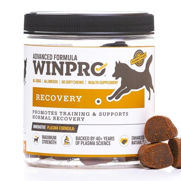 WINPRO Recovery Soft Chews for Dogs, Plasma-Powered to Support a Healthy Inflammatory Response, and Dog Training Support for Competition, Sport, and Agility Dogs, 60 Count