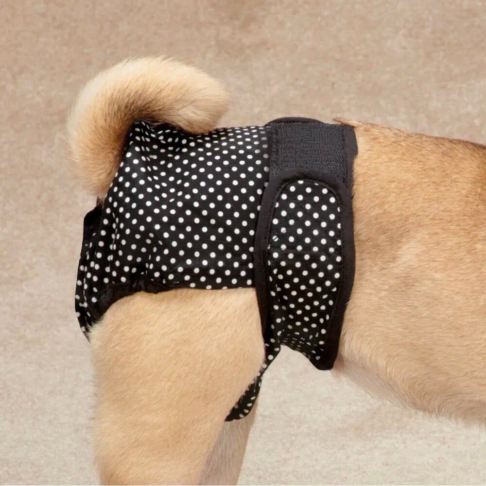 Washable Dog Diapers Male Wraps or 2 Unisex Cover Ups Reuseable Comfy Protection (Medium Cover Ups 2 Pack)