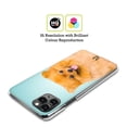 thumbnail image 2 of Head Case Designs Popular Dog Breeds Pomeranian Dog Hard Back Case Compatible with Apple iPhone XR, 2 of 7