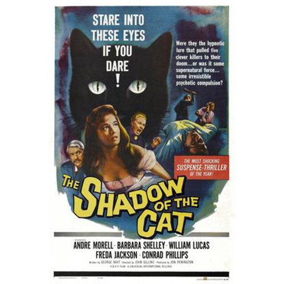 Shadow Of The Cat Movie Poster 16in x 24in 16x24 Multi-Color Square Adults Western Graphic