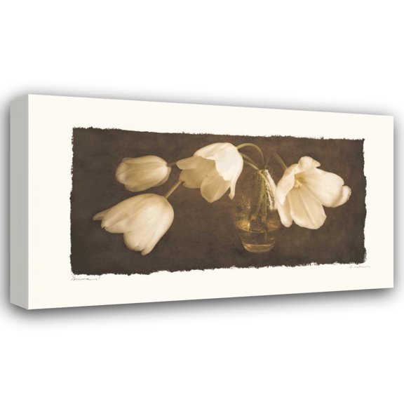 Amy Melious 18x12 Gallery Wrapped Canvas Wall Art Titled - Anima I