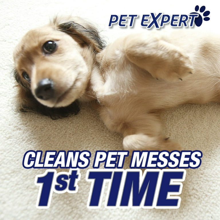  Resolve Pet Expert Stain and Odor Remover, Carpet