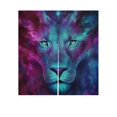 thumbnail image 1 of Cortina Noren japonesa ABPHQTO Galaxy Lion 85x90cm, 1 of 1
