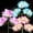 Multicolor, variant on TopZoo Solar Lights Outdoor Pathway, 6 Pack Solar Garden Stake Lights for Yard Patio Walkway Planter Pool, LED Waterproof, Warm White