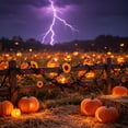thumbnail image 4 of Thanksgiving Fall Halloween Decoration for Home Indoor Outdoor Clearance Under $5.00!Black Artificial Maple Leaf And Rattan Pumpkin And Berry Halloween Window Display And Fireplace Ornament, 4 of 6