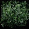 thumbnail image 2 of The Ribbon People Green Small Field Maple Wired Craft Ribbon Garland 1" x 108 Yards, 2 of 2