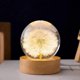 thumbnail image 3 of Floral Crystal Globe Lamp with Dandelion Design for Women, Moms, and Kids Gift Ideal декорative Ornament, 3 of 5