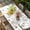 White, variant on Bees Branches Table Cloths for 6 Foot Rectangle Tables, Farmhouse Spring Botanical Elegant Patio Waterproof Elastic Fitted Tablecloths, Washable Rectangular Table Cover for Camping