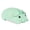 Green, variant on Dpisuuk Wireless Mouse Bluetooth & 2.4GHz Dual Mode Cute Animal Pig Shape Mouse with USB Receiver Portable Compact Optical Silent Mouse for Laptop PC Tablet MacBook Kids Women Men Gift, Blue
