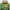 Orange Allis Chalmer, variant on Rust-Oleum 7443502 Specialty Farm Equipment Brush On Paint, Quart, John Deere Yellow