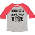 thumbnail image 3 of Inktastic Minnesota Awesome Since 1858 Boys or Girls Toddler T-Shirt, 3 of 5