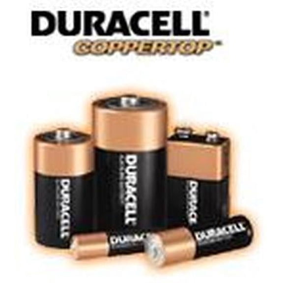 CopperTop Alkaline D Batteries (2/Pack)